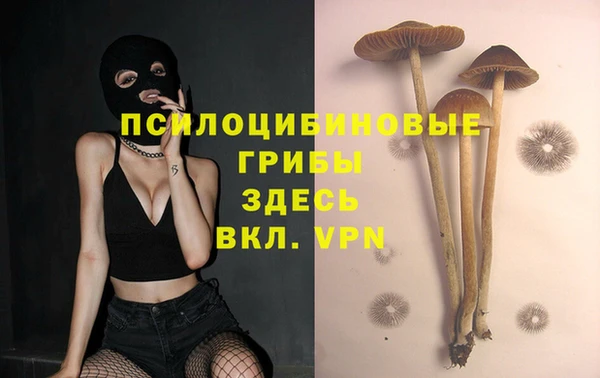 дмт Нея