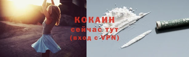 дмт Нея