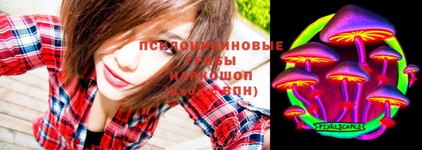 дмт Нея