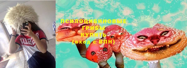 прущая мука Новозыбков