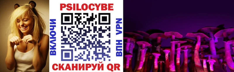 Галлюциногенные грибы Cubensis Коряжма