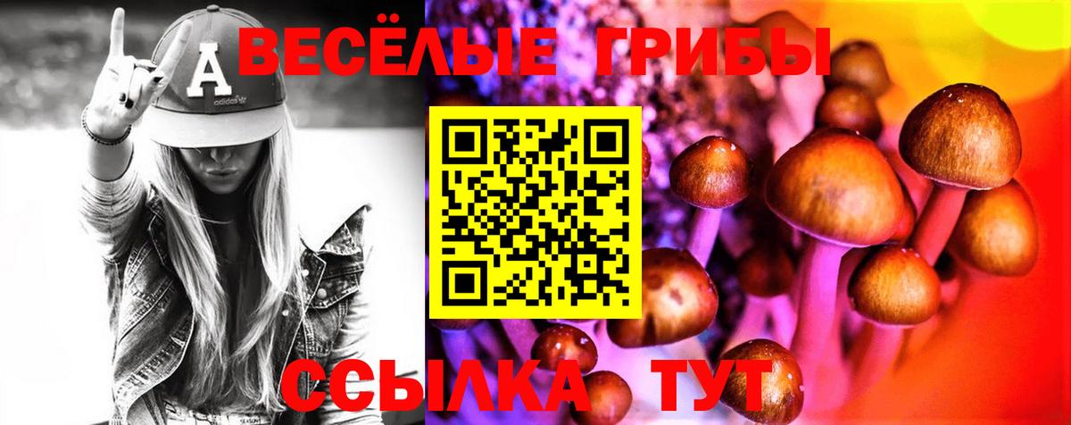 Галлюциногенные грибы Psilocybine cubensis Коряжма
